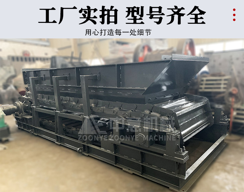 Zhongyi Chain Conveyor Manufacturer